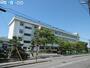 小学校　新潟市立竹尾小学校（小学校）まで736m