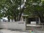 幼稚園・保育園　金島保育園（幼稚園・保育園）まで400m