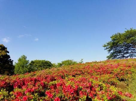 ハーモニーテラス南小岩IVのその他写真