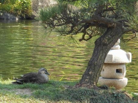 ハーモニーテラス南小岩IVの周辺写真