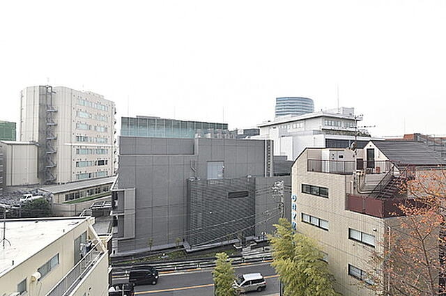 眺望　（別タイプ参考写真）レジデンシア春日安藤坂　文京区春日２