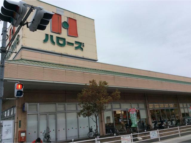 スーパー　ハローズ手城店（スーパー）まで1136m