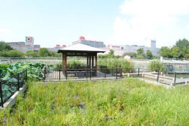 公園　市場池公園（公園）まで329m