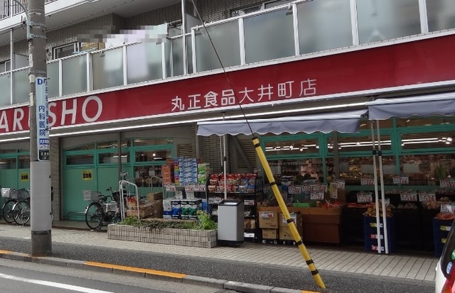ルーブル大井町の周辺写真
