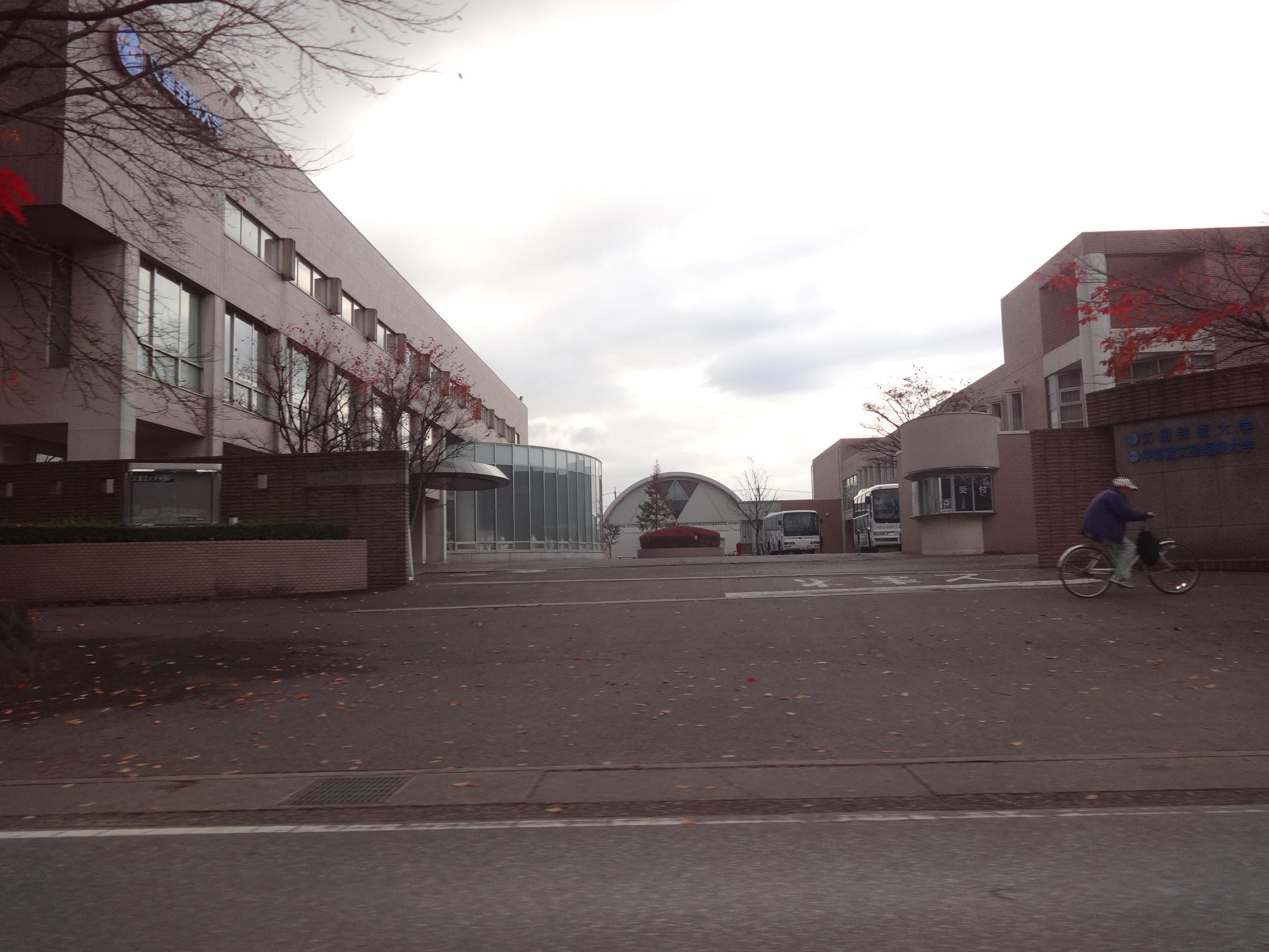 大学・短大　文星芸術大学（大学・短大）まで810m
