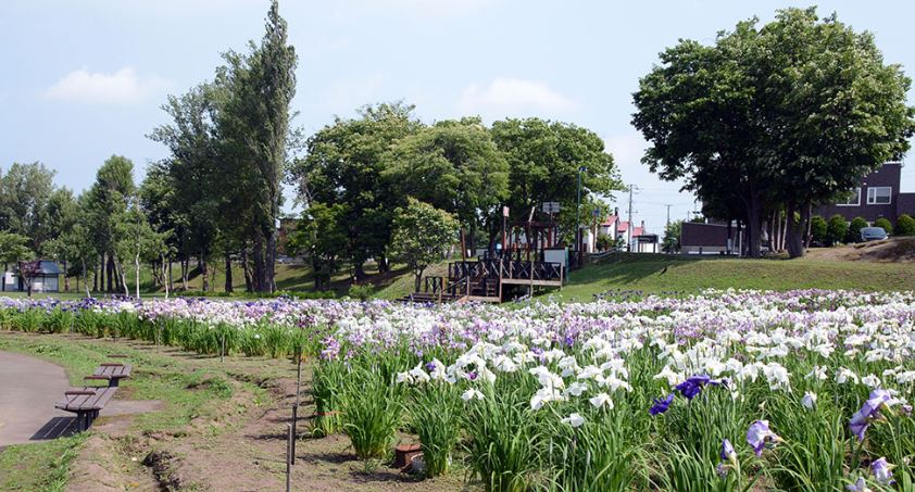 【ホワイトハウスの公園】