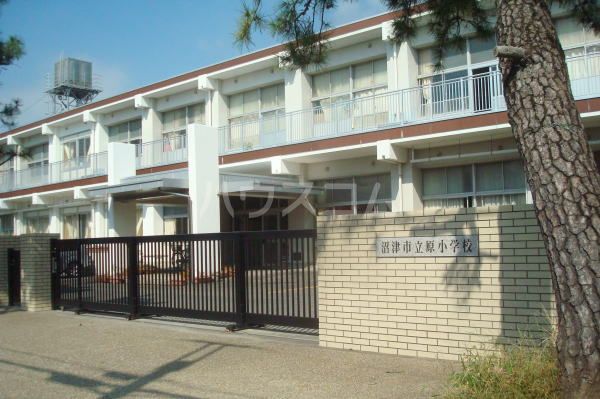 【沼津市石川のマンションの小学校】