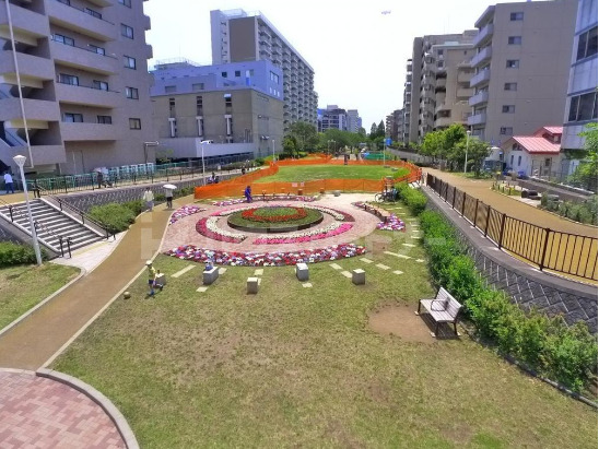 公園　大横川親水公園（公園）まで276m