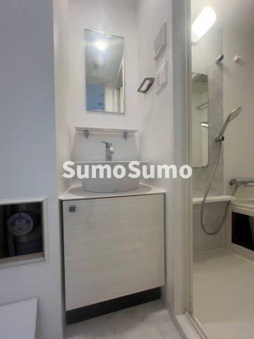 洗面設備　独立洗面化粧台が付いています