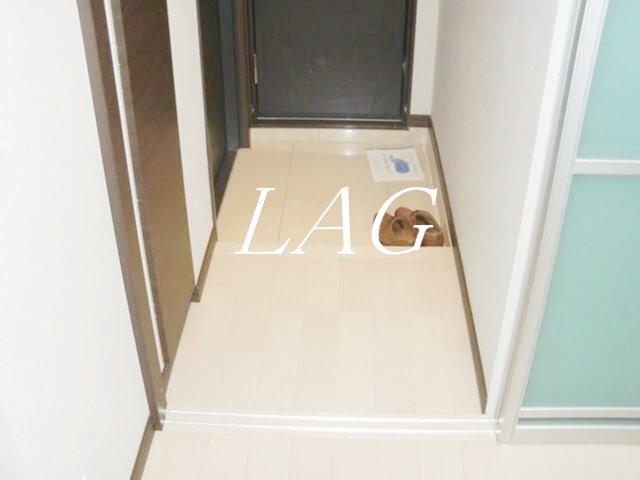 玄関　玄関です。