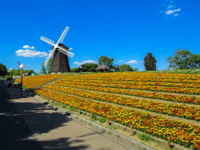 公園　鶴見緑地（公園）まで1400m