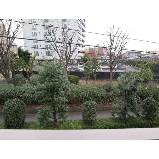 眺望　景色