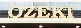 スーパー　スーパーオオゼキ野沢店（スーパー）まで446m