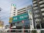  4階 築46年2ヶ月の賃貸物件