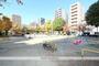 公園　鴎町公園（公園）まで250m