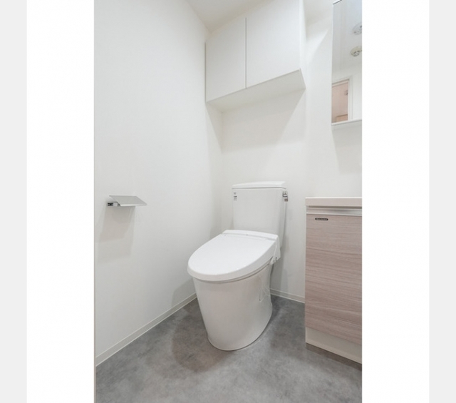 スタイリオフィット溝の口のトイレ写真