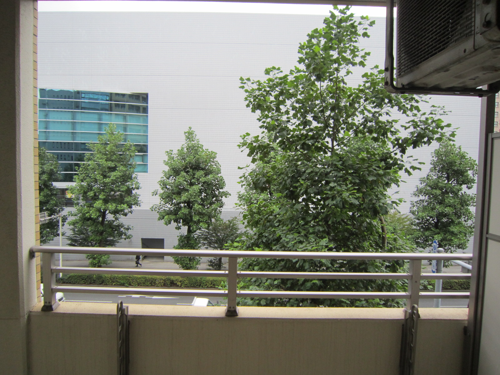 眺望　眺望（アリーナ側です）