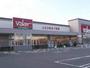 スーパー　バロー 堀越店（スーパー）まで1207m