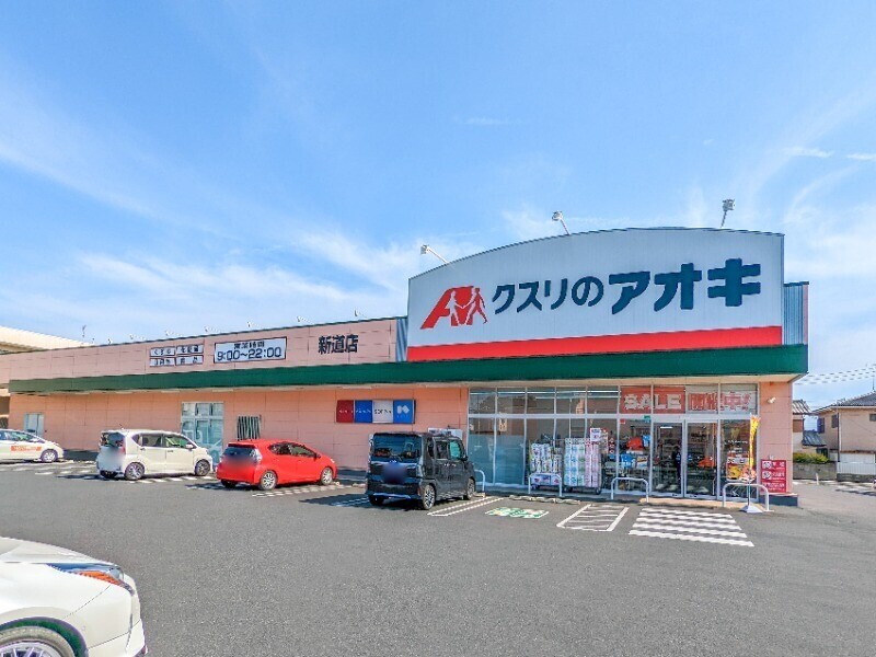 【太田市新野町のアパートのドラックストア】