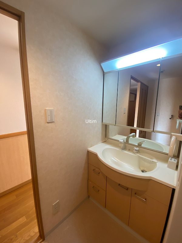 洗面設備　別のお部屋の写真です。ご参考までに。