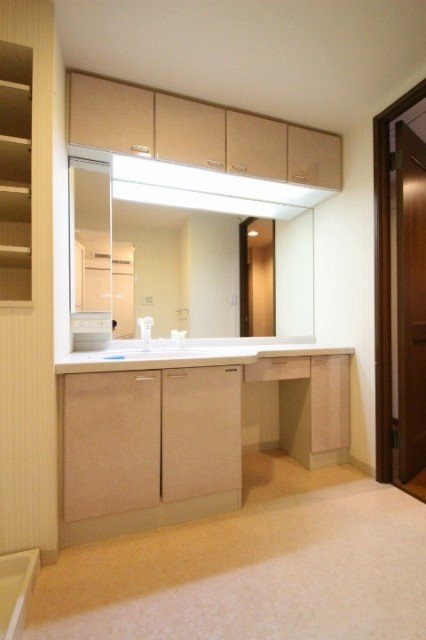 洗面設備　同物件、別号室のものです。