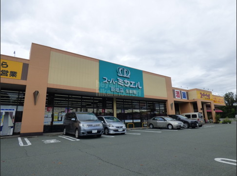 スーパー　スーパーミカエル　新地店（スーパー）まで600m