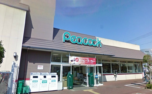 その他　ピーコックストア上池台店