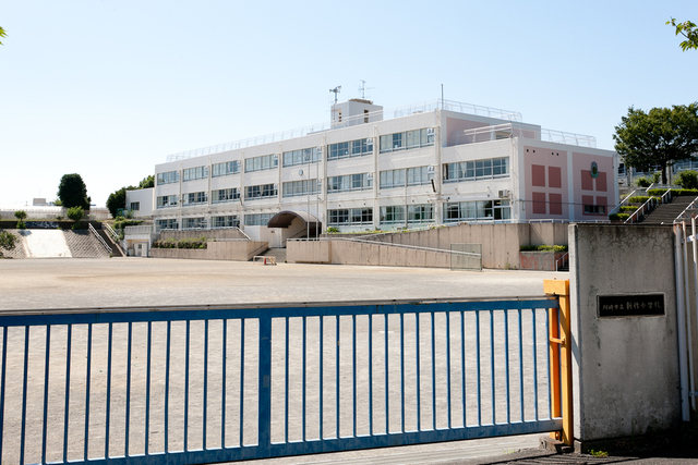 小学校　川崎市立梶ケ谷小学校（小学校）まで556m