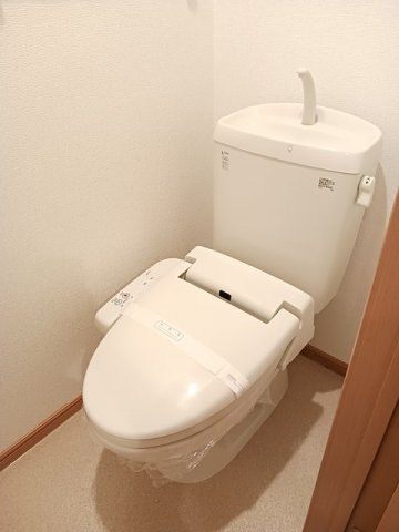 トイレ　トイレです