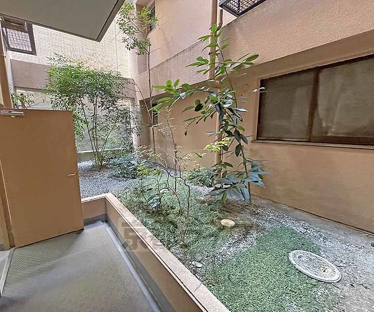 庭
