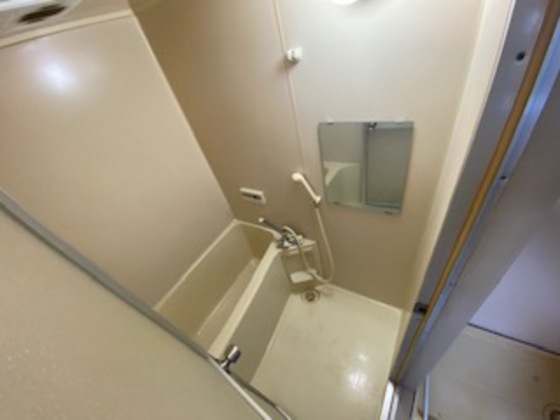 バス・シャワールーム　※別部屋の写真です