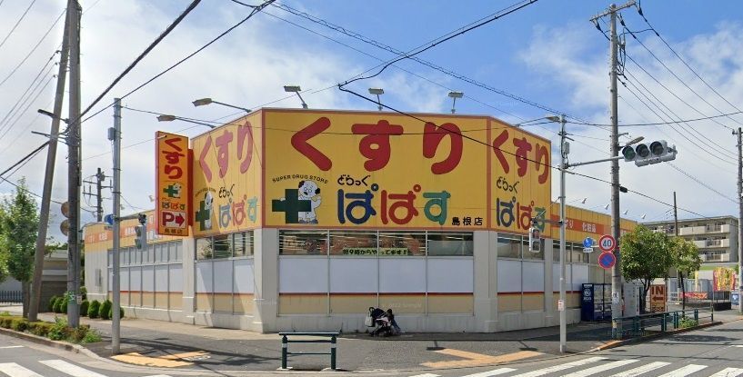 ドラックストア　どらっぐぱぱす島根店（ドラッグストア）まで170m