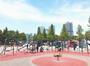 公園　豊洲公園（公園）まで336m