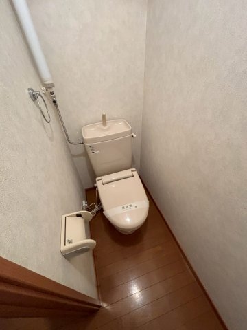 メゾン・ドJUNパートVのトイレ写真
