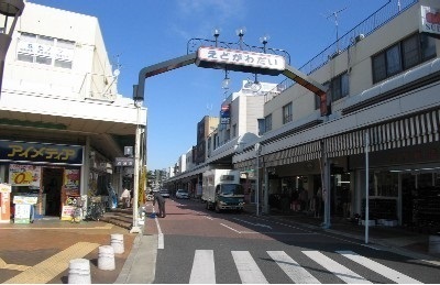 その他　江戸川台商店街（その他）まで800m