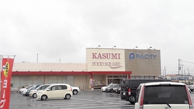 ショッピングセンター　ピアシティ宮代（ショッピングセンター）まで1100m