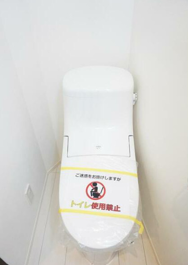 トイレ　トイレで巣