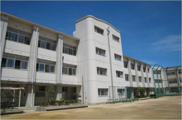 中学校　大阪市立新豊崎中学校（中学校）まで736m