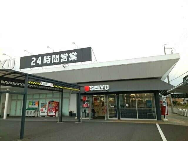 スーパー　SEIYU    松河戸店（スーパー）まで1310m