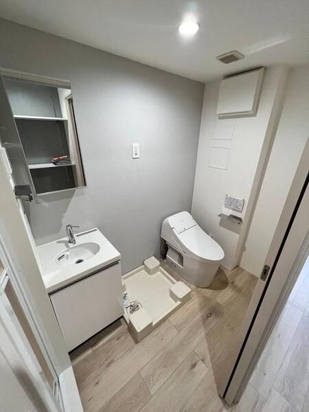 洗面設備　（別タイプ参考写真）AIR TOWER NIPPORI B棟