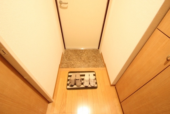 玄関　※他のお部屋の写真です。