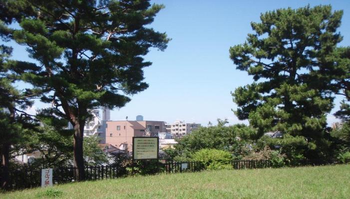 公園　鵜の木松山公園（公園）まで603m