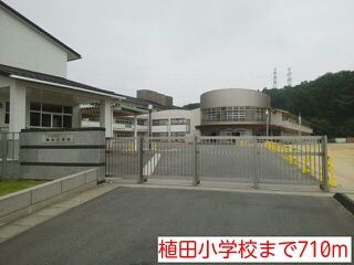 小学校　植田小学校（小学校）まで710m