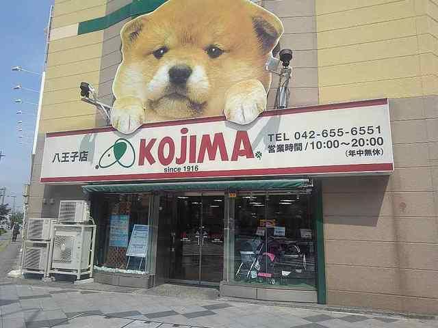 その他　ペットのKOJIMA（その他）まで400m