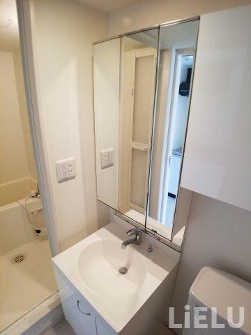 洗面設備　203号室のお写真になります