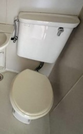 トイレ　他号室のお写真です