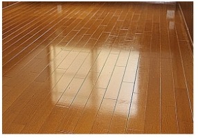 居室・リビング　洋室☆光沢フローリング☆（同一仕様写真）