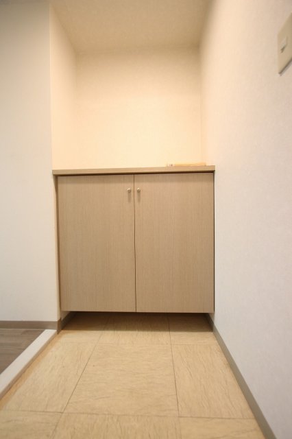 玄関　同物件別号室のものです。
