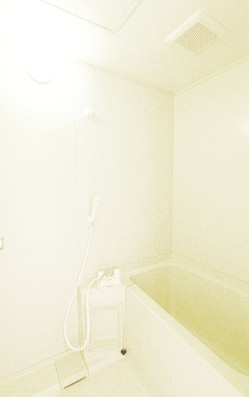 バス・シャワールーム　別部屋の写真です