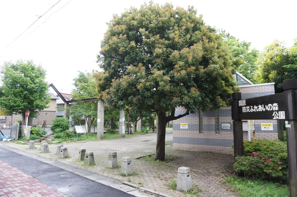 公園　関原防災ふれあいの森公園（公園）まで172m